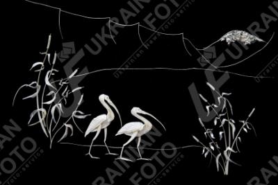 Прикрепленное изображение: big_89416.png.jpeg